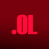 opiniones offlesson